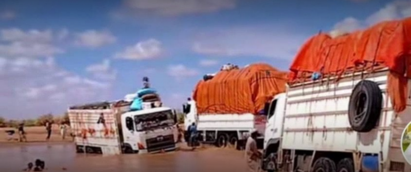 Why Delivering Aid in Darfur Costs So Much: Racing Against Conflict, Terrain, and Time